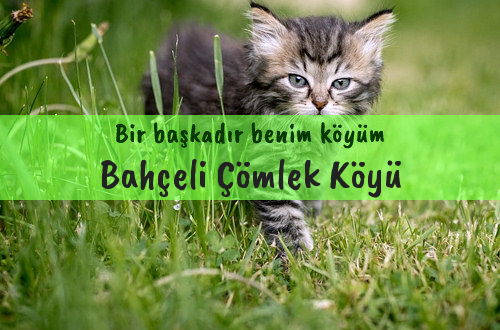 Bahçeli Çömlek Köyü